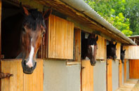 free Sheinton stable construction quotes